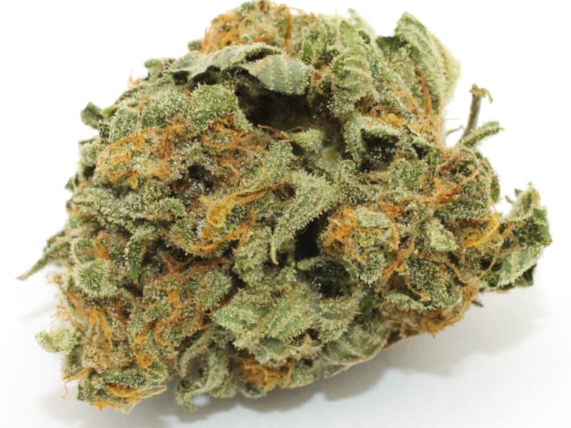 OG Kush