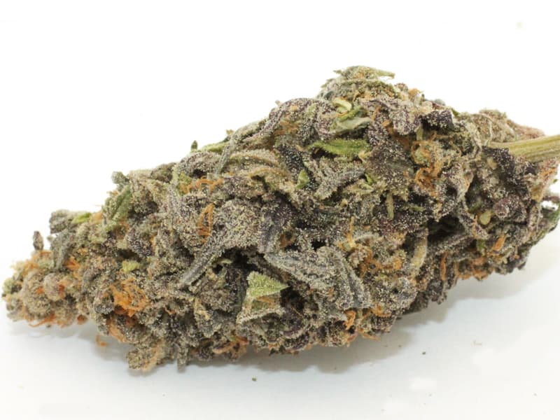 Purple Cheese